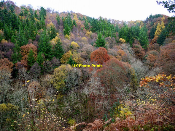 Photo 6"x4" Harsondale Cleugh from Staward Peel Langley\/NY8261 c2010