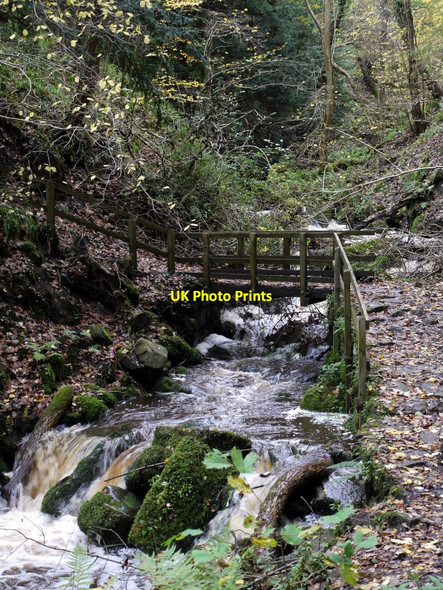 Photo 6"x4" Footbridge over Harsondale Burn Ridley\/NY7963 c2010