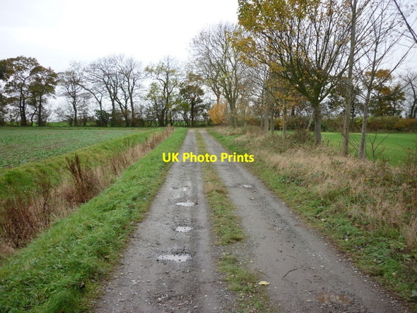 Photo 6"x4" A farm track leading to Arables Lane Winestead c2010