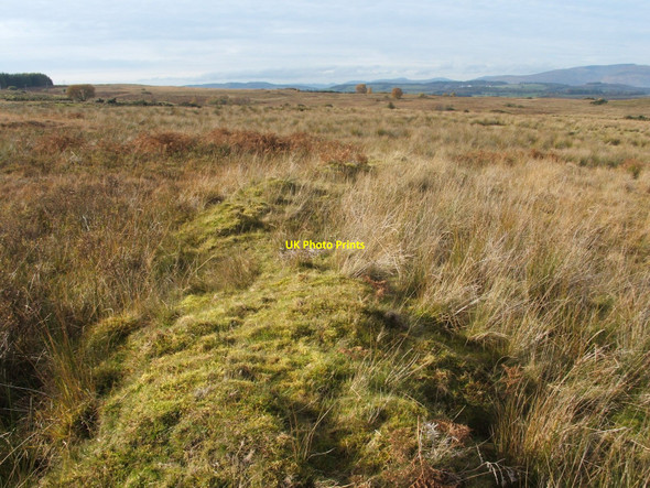 Photo 6"x4" Old field boundary Craighat c2010