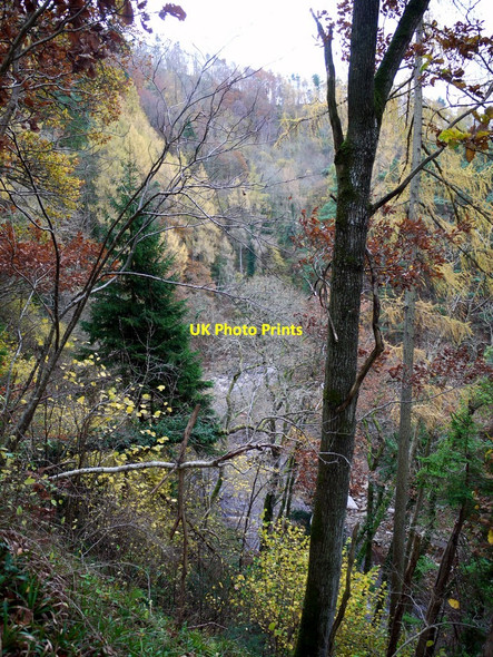 Photo 6"x4" Staward Gorge Langley\/NY8261 c2010