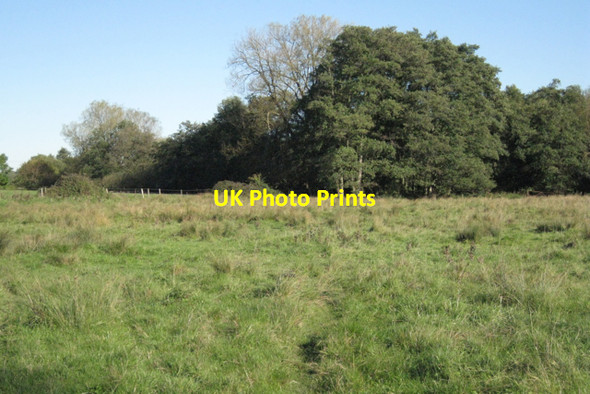 Photo 6"x4" Alders and willows by Kingswood Brook Holywell\/SP1966 c2010