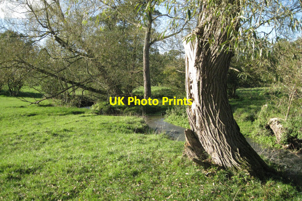 Photo 6"x4" Willows by Tapster Brook Holywell\/SP1966 c2010