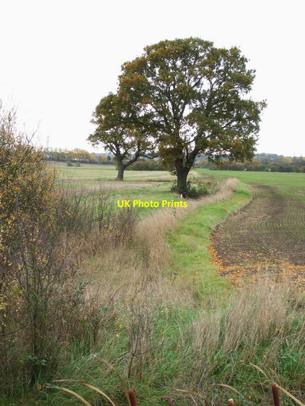 Photo 6"x4" Drainage ditch or stream? Rawreth c2010