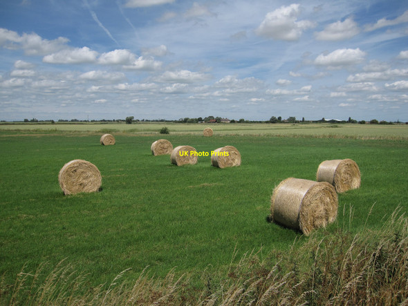Photo 6"x4" Hay Bales at Willow Farm Sutton Gault c2010