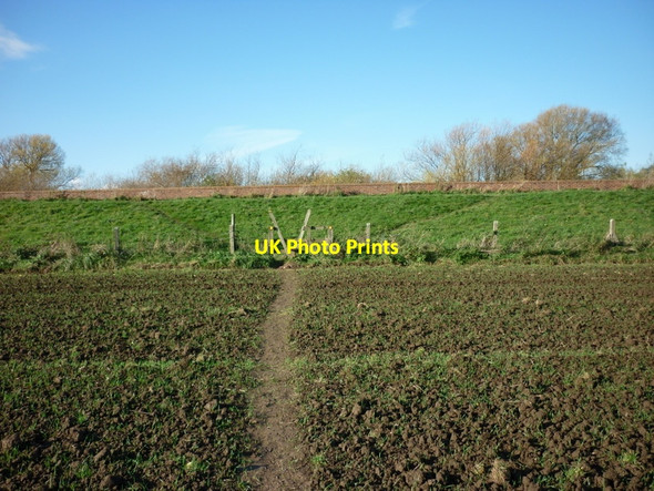 Photo 6"x4" Heading for the riverside path along the River Ouse Selby c2010