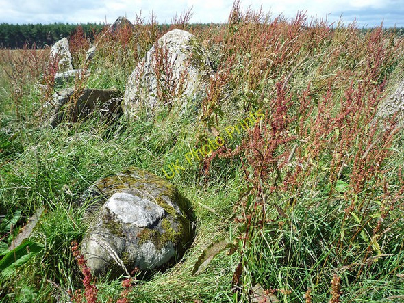 Photo 6"x4" Belmaduthy  Chambered Cairn Munlochy c2009