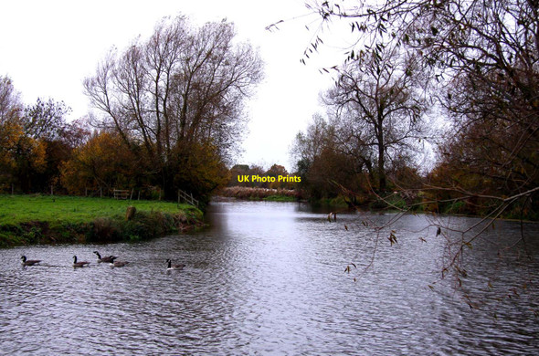 Photo 6"x4" The River Cherwell Oxford\/SP5106 c2010