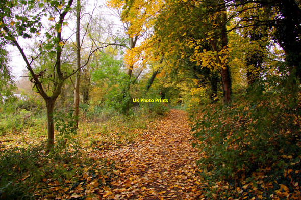 Photo 6"x4" Footpath by the Cherwell Oxford\/SP5106 c2010