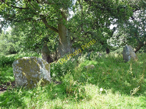 Photo 6"x4" Balnaguie chambered neolithic cairn Munlochy c2009