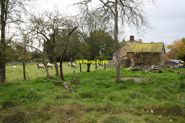 Photo 6"x4" Small pasture, Gorsley Gorsley Common c2010