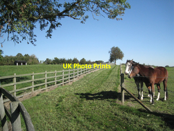 Photo 6"x4" Paddocks at Finwood Green Finwood c2010