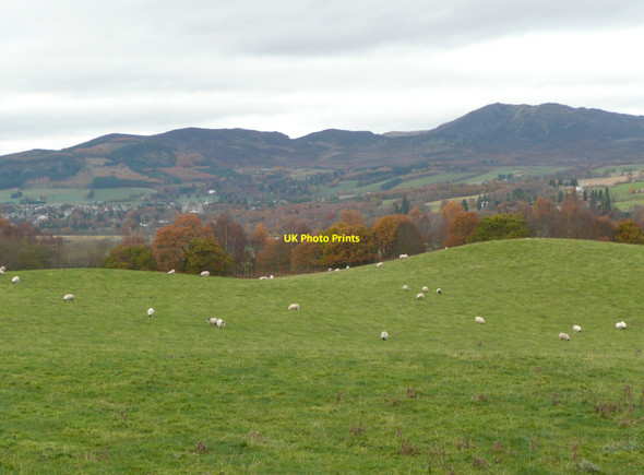 Photo 6"x4" Pasture at Mains of Killichangie Milton of Dalcapon c2010