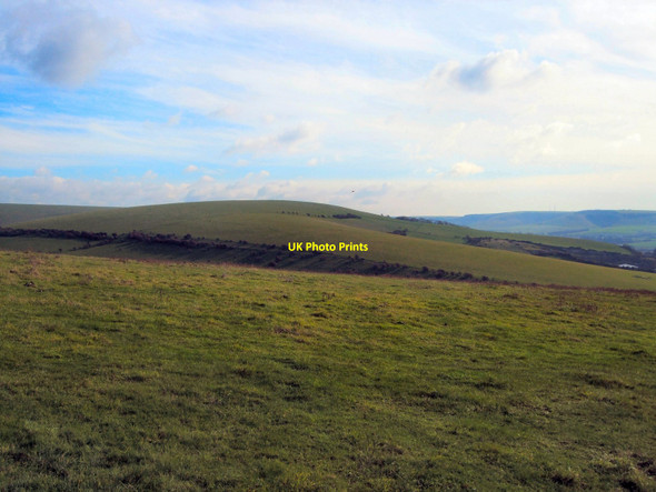 Photo 6"x4" Southerham Nature Reserve Lewes c2010