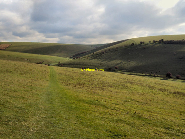 Photo 6"x4" Oxteddle Bottom Lewes c2010