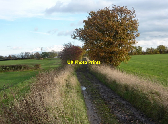 Photo 6"x4" Track towards Sutton Scarsdale Corbriggs c2010
