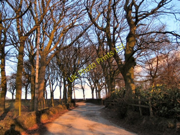 Photo 6"x4" Harwood Fields Bury\/SD8010 c2006