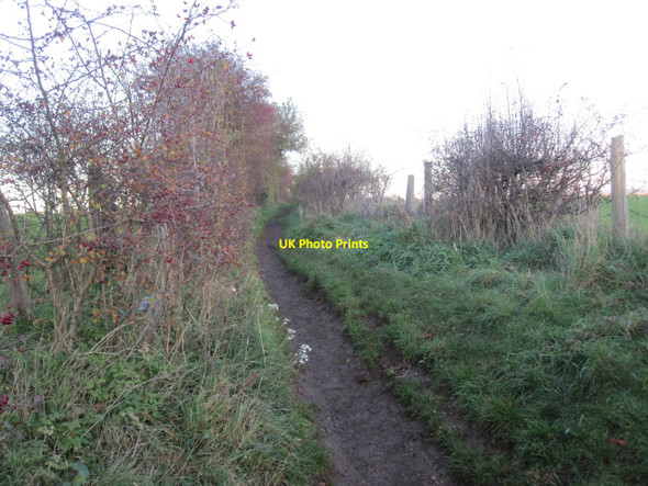 Photo 6"x4" Footpath from Little Wittenham to Dorchester Bridge End\/SU5793 c2010