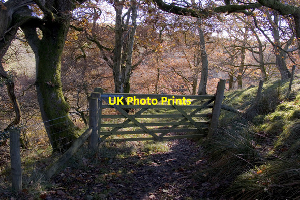 Photo 6"x4" Gate on River Roeburn permissive footpath Wray c2010