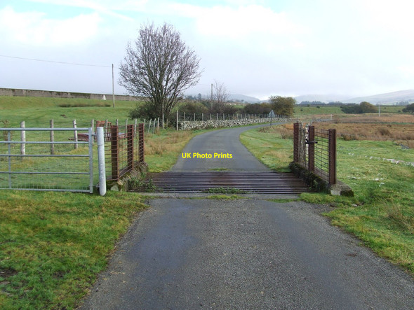 Photo 6"x4" Cattle Grid Trawsfynydd\/SH7035 c2010
