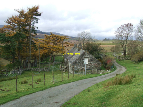 Photo 6"x4" Bryn Maen Llwyd Trawsfynydd\/SH7035 c2010