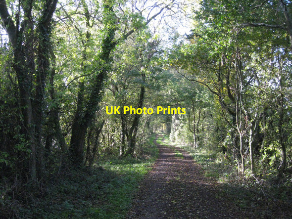 Photo 6"x4" Bond Lane Alveston Down c2010