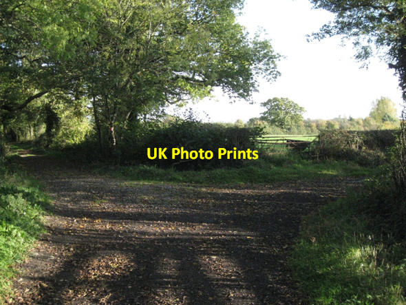 Photo 6"x4" Junction of Bond Lane and a track Alveston Down c2010