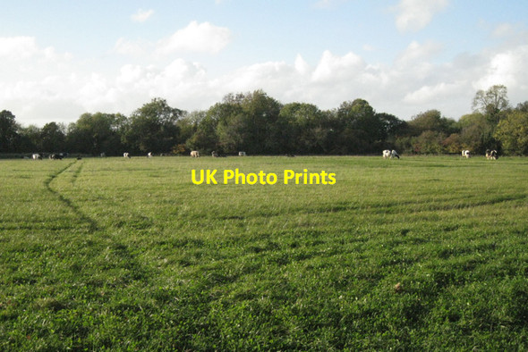Photo 6"x4" Flat field by Bond Lane Alveston Down c2010