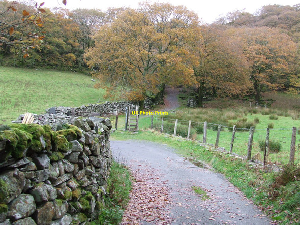 Photo 6"x4" Minor Road Croesor c2010