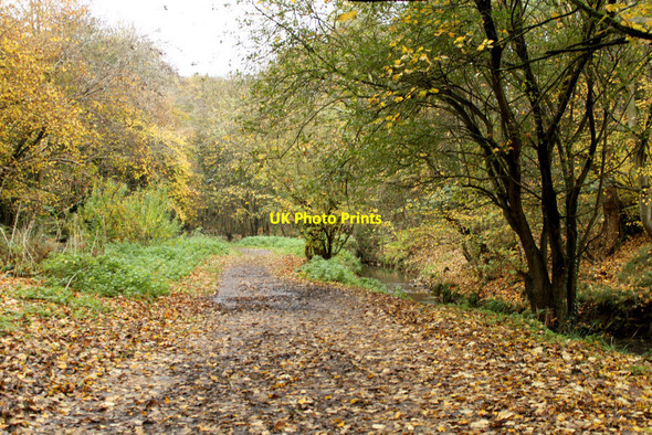 Photo 6"x4" 2010 : The Brislington Brook in autumn Kingswood\/ST6473 c2010