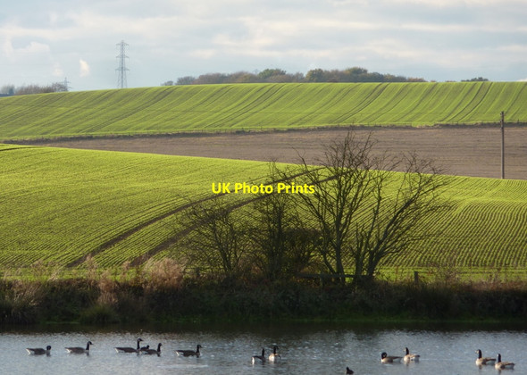Photo 6"x4" Fields beyond Carr Vale Flash nature reserve Bolsover c2010