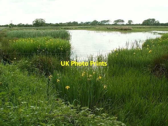Photo 6"x4" Large pool at North Plain Farm Anthorn c2008
