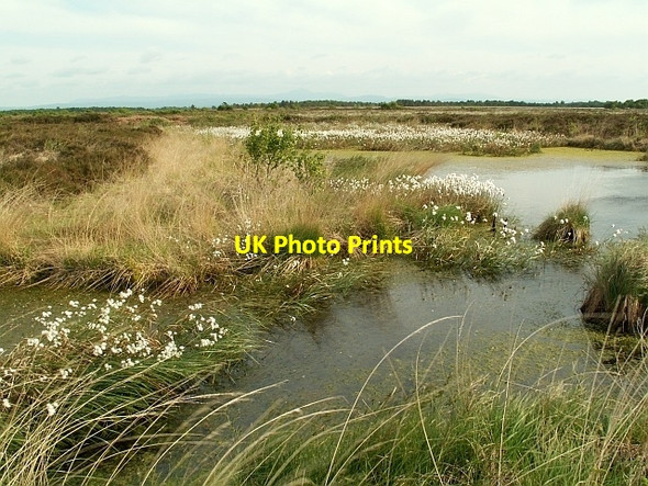 Photo 6"x4" Bog pool, Bowness Common Anthorn c2008