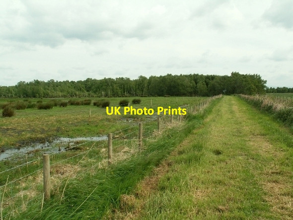 Photo 6"x4" Grass track, Campfield Marsh Anthorn c2008