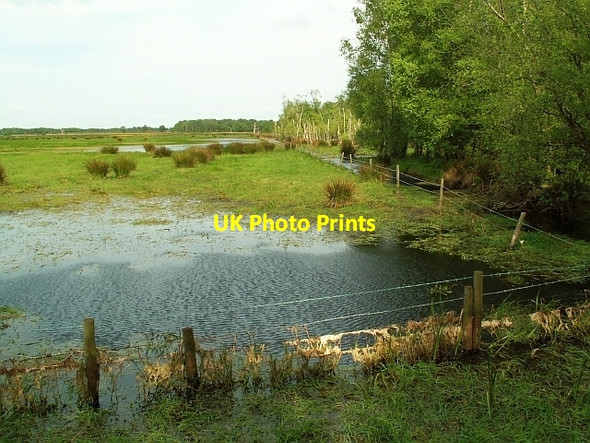 Photo 6"x4" Flooded meadow, Campfield Marsh nature reserve Anthorn c2008