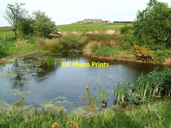 Photo 6"x4" Pond near Rogersceugh Farm Longcroft\/NY2158 c2008