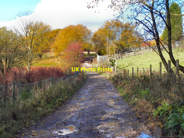 Photo 6"x4" Path From Nickerhole Bridge To Mount Sion Road, Radcliffe Radcliffe\/SD7807 c2010