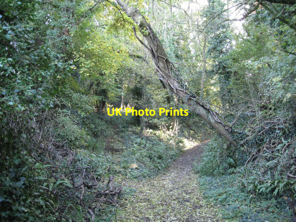 Photo 6"x4" Bond Lane negotiates a hillside Kington\/ST6290 c2010
