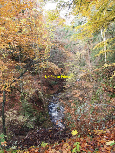 Photo 6"x4" Banvie Burn in woodland Bailanloan c2010