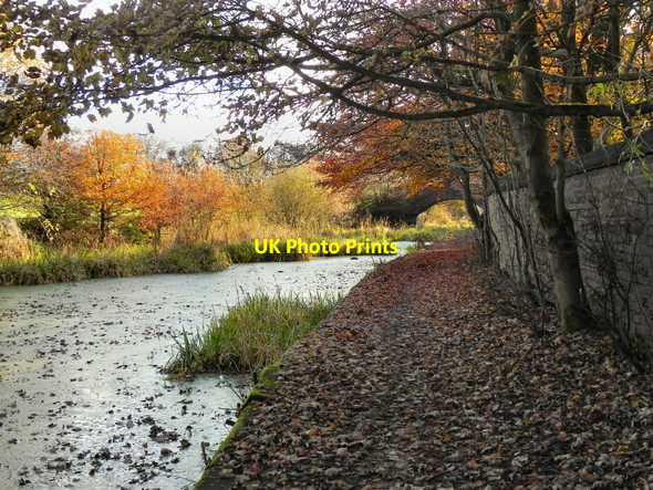 Photo 6"x4" Manchester, Bolton & Bury Canal Radcliffe\/SD7807 c2010