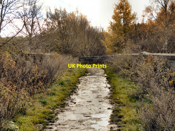 Photo 6"x4" Ladyshore Bridge Kearsley\/SD7505 c2010