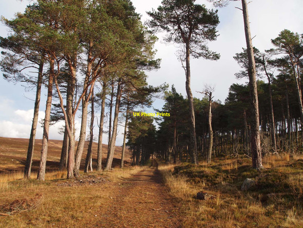 Photo 6"x4" Glen Banvie track Bruar c2010