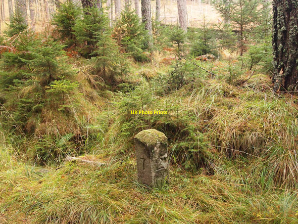 Photo 6"x4" Milestone on Baluain Wood Bailanloan c2010