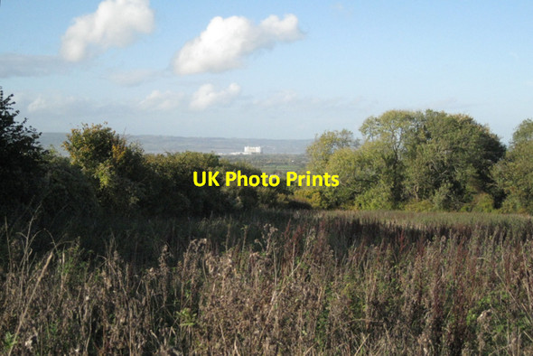 Photo 6"x4" Line of Mumbleys Lane Thornbury\/ST6490 c2010