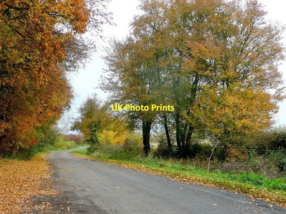 Photo 6"x4" Ham Road 1 Hasfield c2010