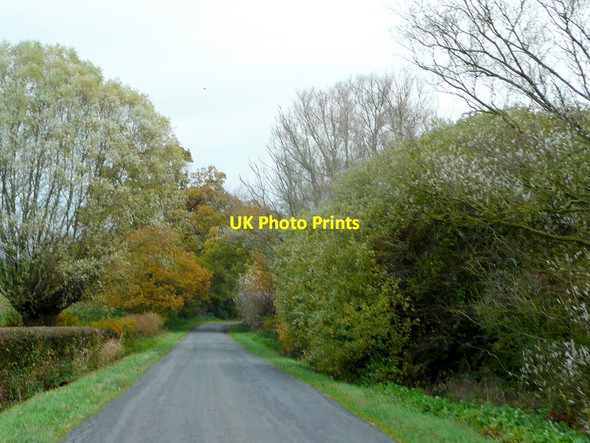 Photo 6"x4" Ham Road 2 Hasfield c2010