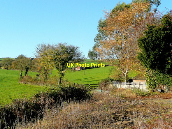 Photo 6"x4" View west from The Glyn St Weonards c2010