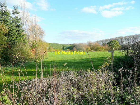 Photo 6"x4" View east from The Glyn St Weonards c2010