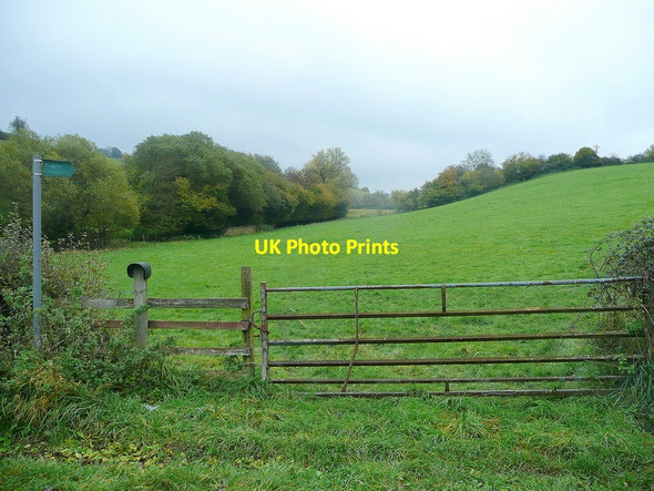 Photo 6"x4" Footpath in the Clearwell Valley Newland\/SO5509 c2010