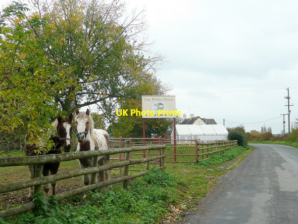 Photo 6"x4" The White Horse Gloucester c2010